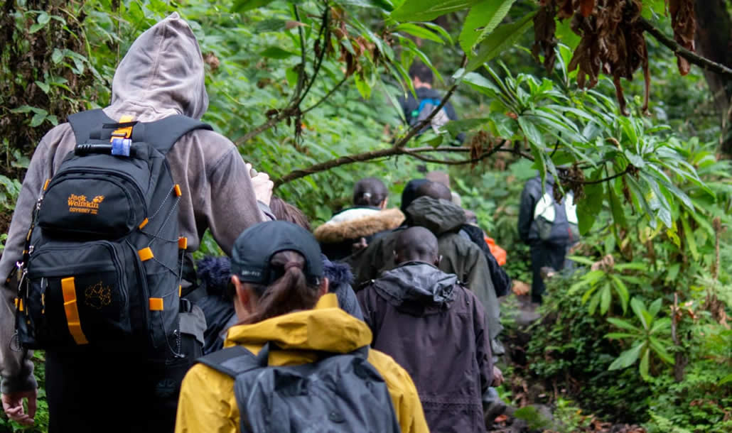 Mount Bisoke Hiking Visit Rwanda